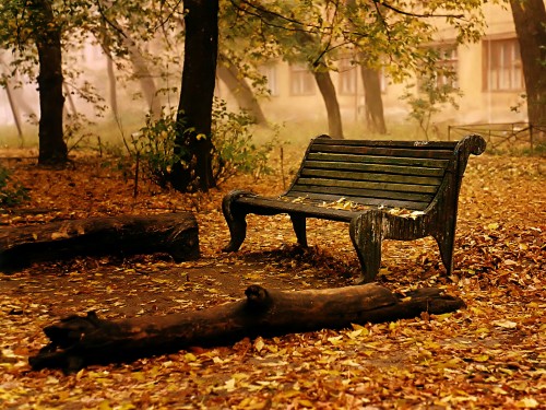 fall bench.jpg (969 KB)